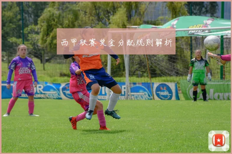 西甲联赛奖金分配规则解析