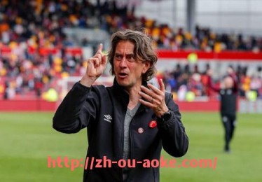 澳客足彩-法甲球队战术执行力的现状评估及提升路径探讨