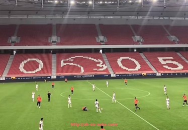 澳客足彩-法甲球队2024年战术执行及比赛策略深度分析