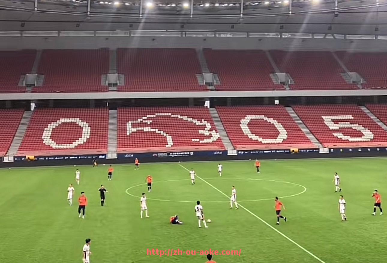 澳客足彩-法甲球队2024年战术执行及比赛策略深度分析